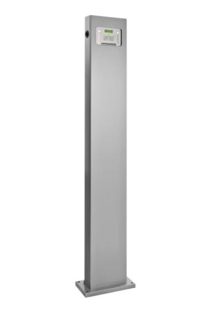 pautina1