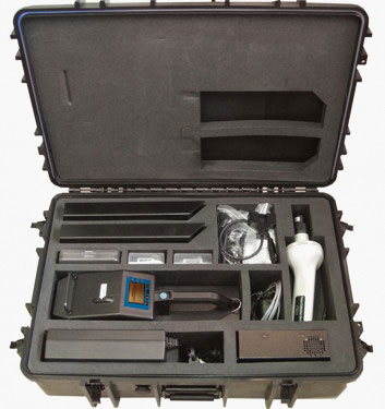 case